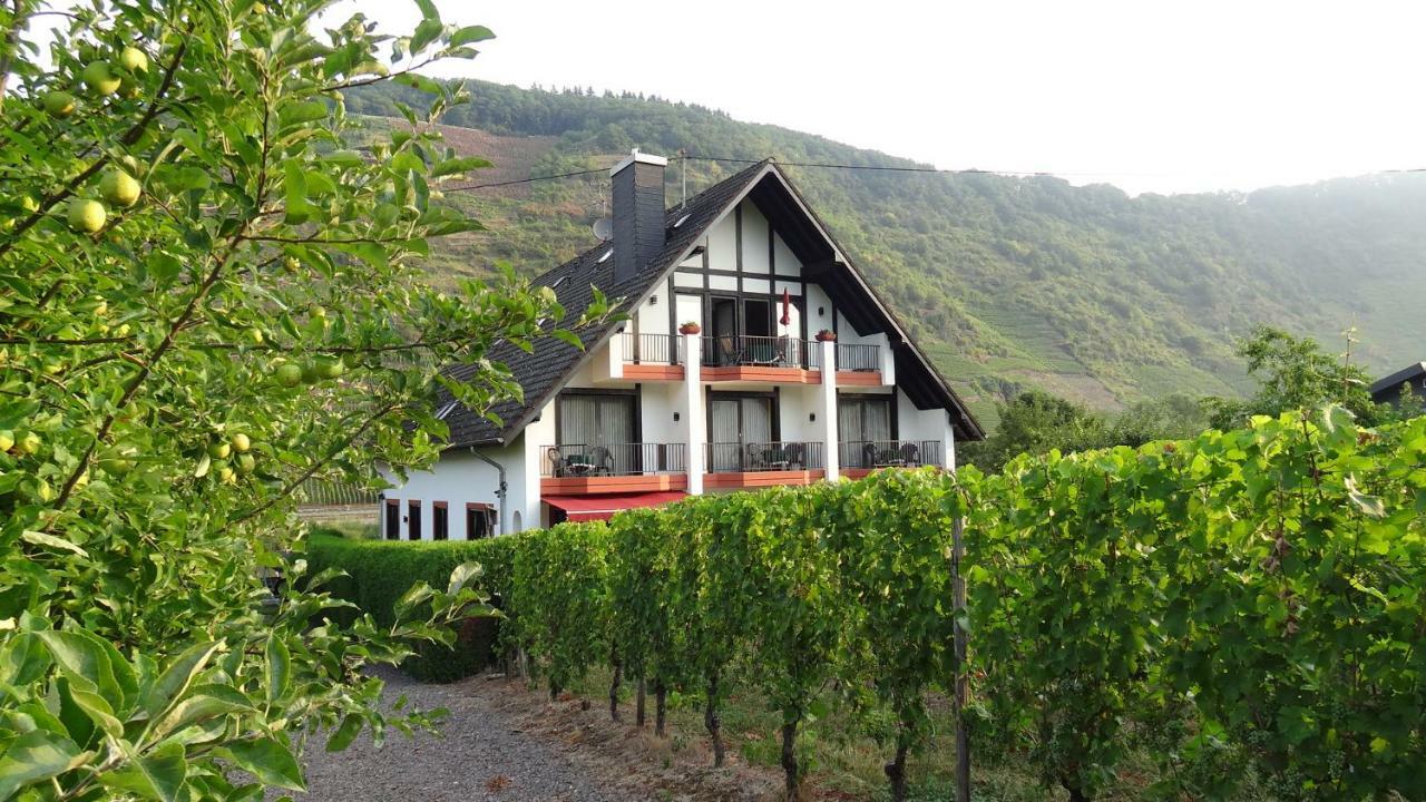 Haus Weingarten Appartements-Zimmer แอนสท์ ห้อง รูปภาพ